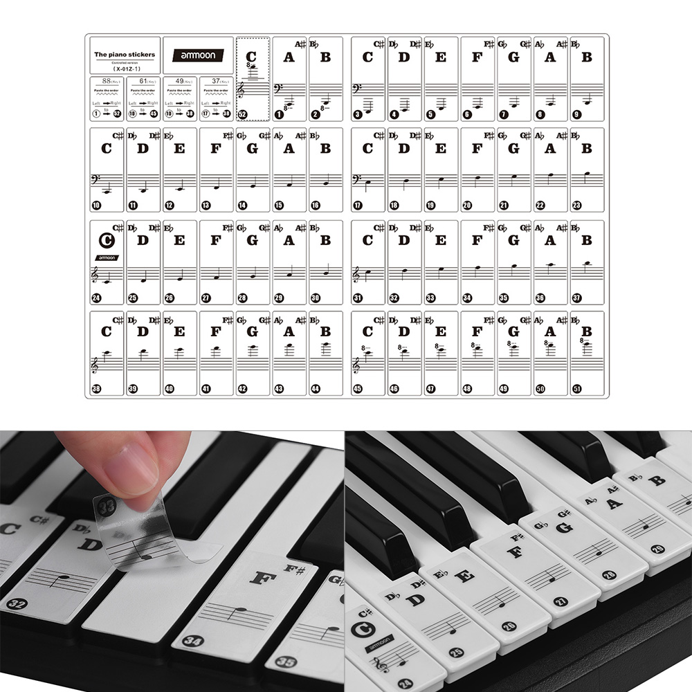Printable Piano Key Labels Printable World Holiday Printable Piano Key Labels Printable World Holiday