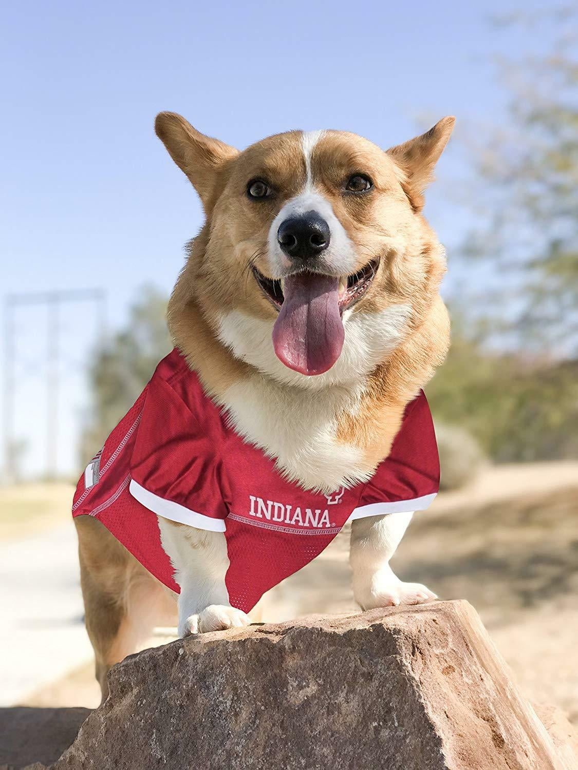 Pets First Collegiate Indiana Hoosiers Football/Basketball Mesh Jersey for Pet Dog. available in 40+ Teams - Small