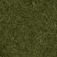 thumbnail image 4 of (3 pack) Great Value Dill Weed, 0.75 oz, 4 of 8