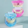 thumbnail image 2 of Sylvtty Dental Implant Model Teaching Aid for Dentist Student School Removable Teeth Orthodontic Demo Models Dental Prosthetic Demonstration, 2 of 6