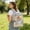 Gray, variant on Clear PVC Transparent Backpack for Security Check Large Capacity Travel with Multiple Compartments Events Daily Use