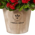 thumbnail image 2 of Geranium Silk Flowering Plant in Farmhouse Planter UV Resistant (Indoor/Outdoor), 2 of 3