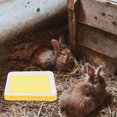 thumbnail image 4 of Minkissy Rats Hamster Litter Pan Rabbit Litter Box Yellow Plastic for Rat Owners 1Set, 4 of 7