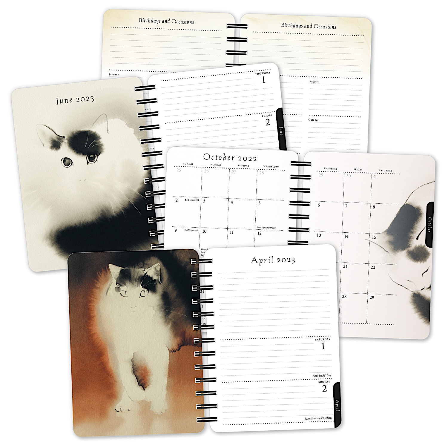 Buy Artful Cat 20222023 Weekly Planner Brush & Ink Watercolor