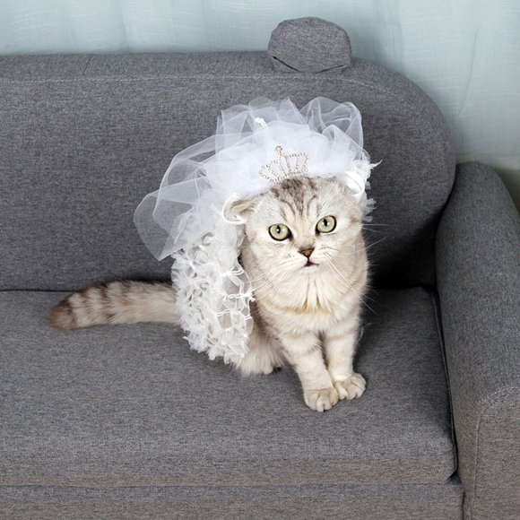 WEUVEB 1Pcs Wedding Pet Accessories Tiara Crown in White for Bride Costumes and Photo Studios
