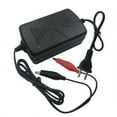 thumbnail image 1 of DEBGFS [Liquidation!] Chargeur Alligator Clip Double Ligne 14.4 Volts Acide Chargeur Intelligent, 1 of 6