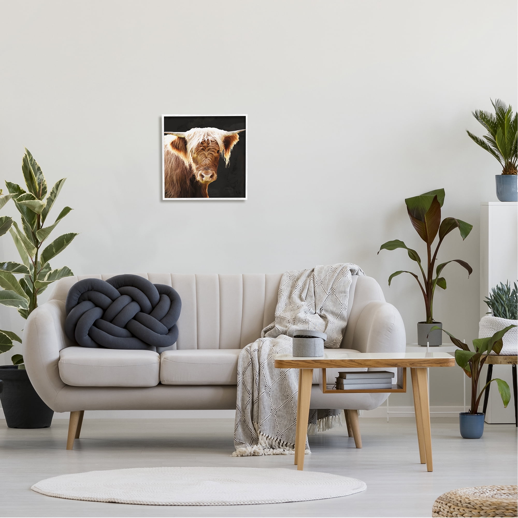 Stupell Industries Brown Wooly Cattle Animals & Insects Photography White Framed Art Print Wall Art, 17 x 17