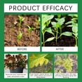 thumbnail image 6 of Rooting Powder Fast Acting Root Stimulator Promotes Growth For Cuttings And Transplanting, 6 of 8