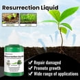 thumbnail image 4 of Plant Resurrection Liquid Plant Growth Enhancer, Phyto Vitamin Solution, 4 of 5