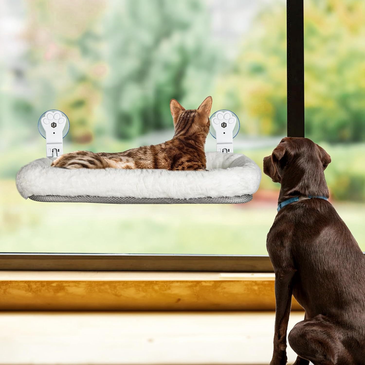 Cat window perch for indoor cats with Warm Spacious Cat Bed for Sunbathing, Napping & Overlooking Cat Hammock All Weather (White)