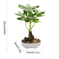 thumbnail image 3 of EDHITNR Artificial Money Tree Bonsai Mini Plastic Green with White Pot Faux Potted for Desk Shelf Decor, Realistic Leaf Texture Small Potted Bonsai Indoor Ornament, 3 of 6