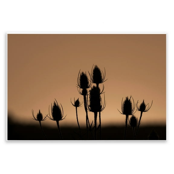 Stupell Industries Botanical Sprigs Silhouettes Plants & Flowers Photography Unframed Art Print Wall Art, 15 x 10