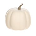 thumbnail image 3 of Harvest PL Short Mini Foam Pumpkin-Cream, 3 of 4