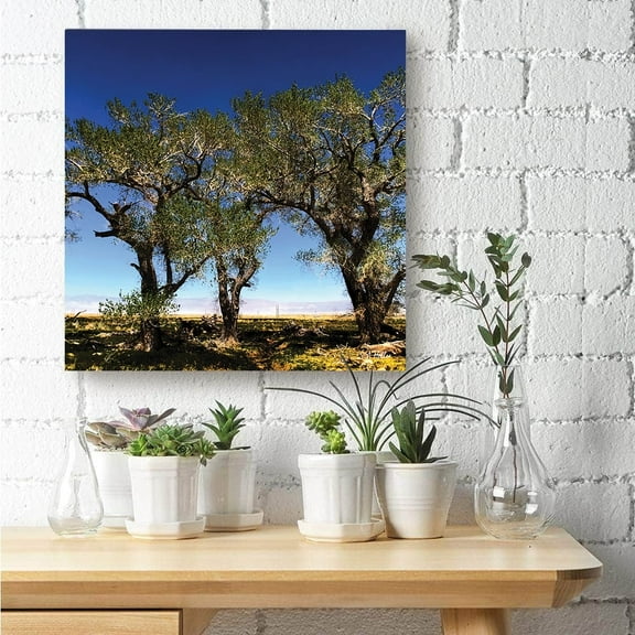 Tree Line by photographer Steven A. Heller - 14"x14" Canvas Artwork - Multi-Color 14 x 14
