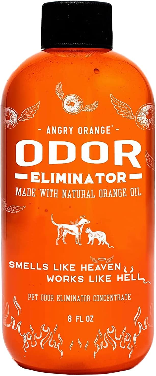 Angry orange cat urine sale
