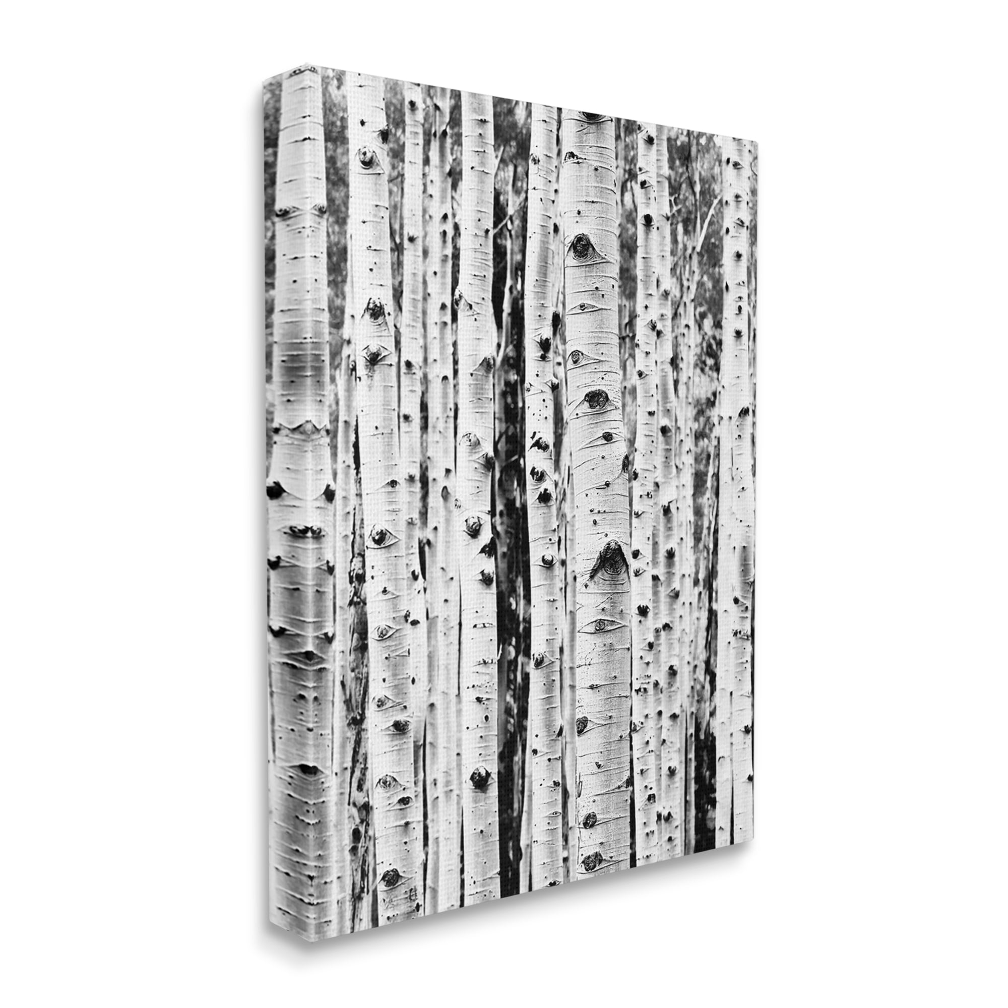 Stupell Industries Birch Trees Forest Nature Photography Gallery Wrapped Canvas Print Wall Art, 16 x 20