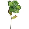thumbnail image 1 of Lime Hibiscus Flower Stem, 23 & 8 in., 1 of 1