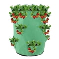 thumbnail image 1 of Planting Growing Bag Multi Mouth Potato Strawberry Planter Pot Vegetable Container Garden Supplies, 1 of 7