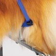 thumbnail image 2 of Adjustable Professional Dog Grooming Supports Clamp Cushion With Security Strap, 2 of 5