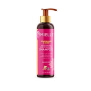 (2 pack) Mielle Pomegranate and Honey Detangling Shampoo - 12 oz