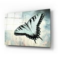 thumbnail image 2 of Epic Art 'Teal Butterfly II' by Lori Deiter Acrylic Glass Wall Art, 24"x16", 2 of 8