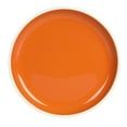 thumbnail image 5 of Wanda June Home Southern Sunrise 12-Piece Terra Cotta Solid Color Stoneware with White Rim Dinnerware Set by Miranda Lambert, 5 of 10