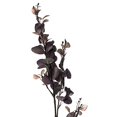 thumbnail image 3 of Vickerman FR191902 32 in. Purple Eucalyptus Leaf Spray, 3 of 6