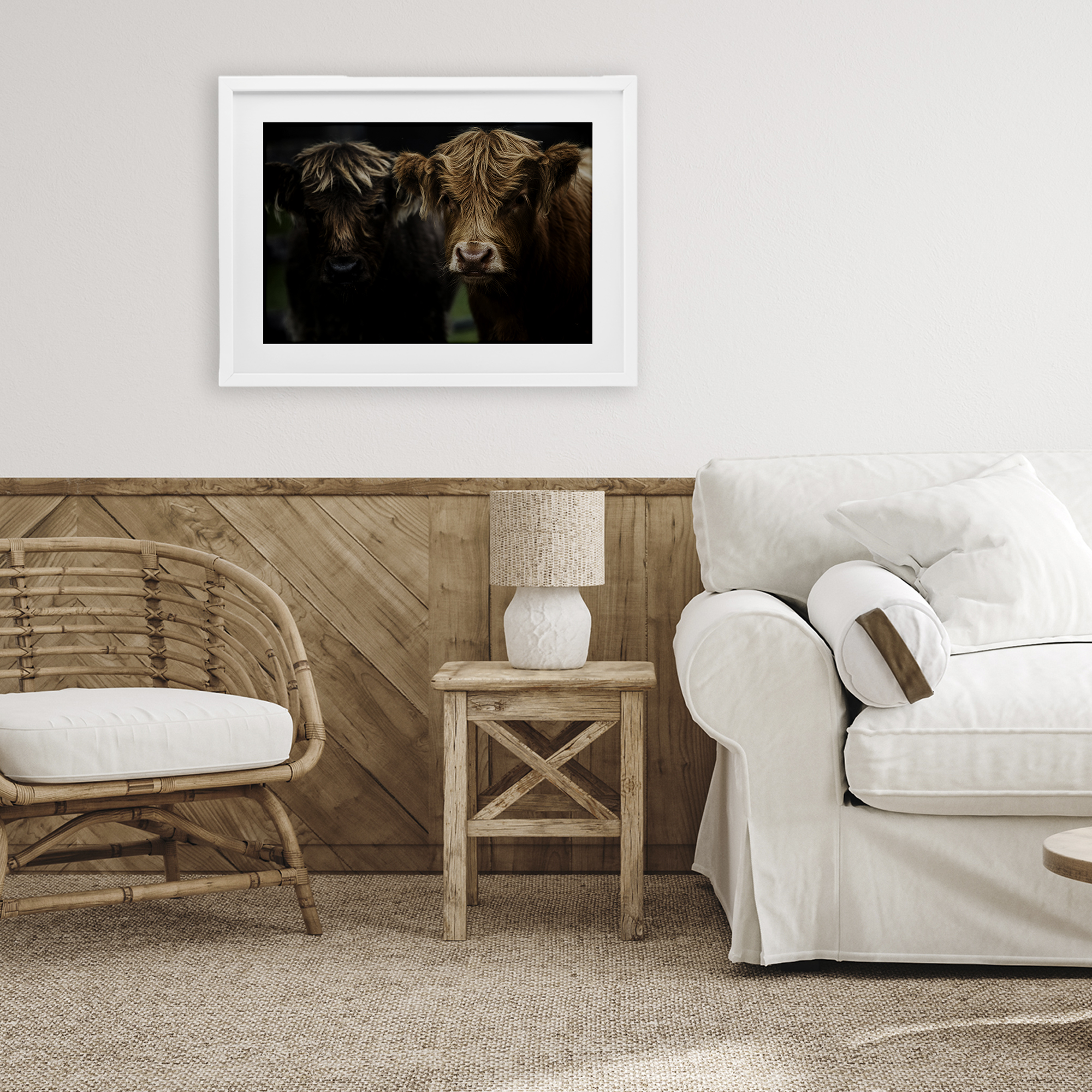 Cow Faces Highland Pair White Framed Print Under Glass, design by Amy Carroll