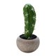 thumbnail image 1 of Planta de simulación planta en maceta simulación flor cactus bonsai decoración creativa planta verde, 1 of 5