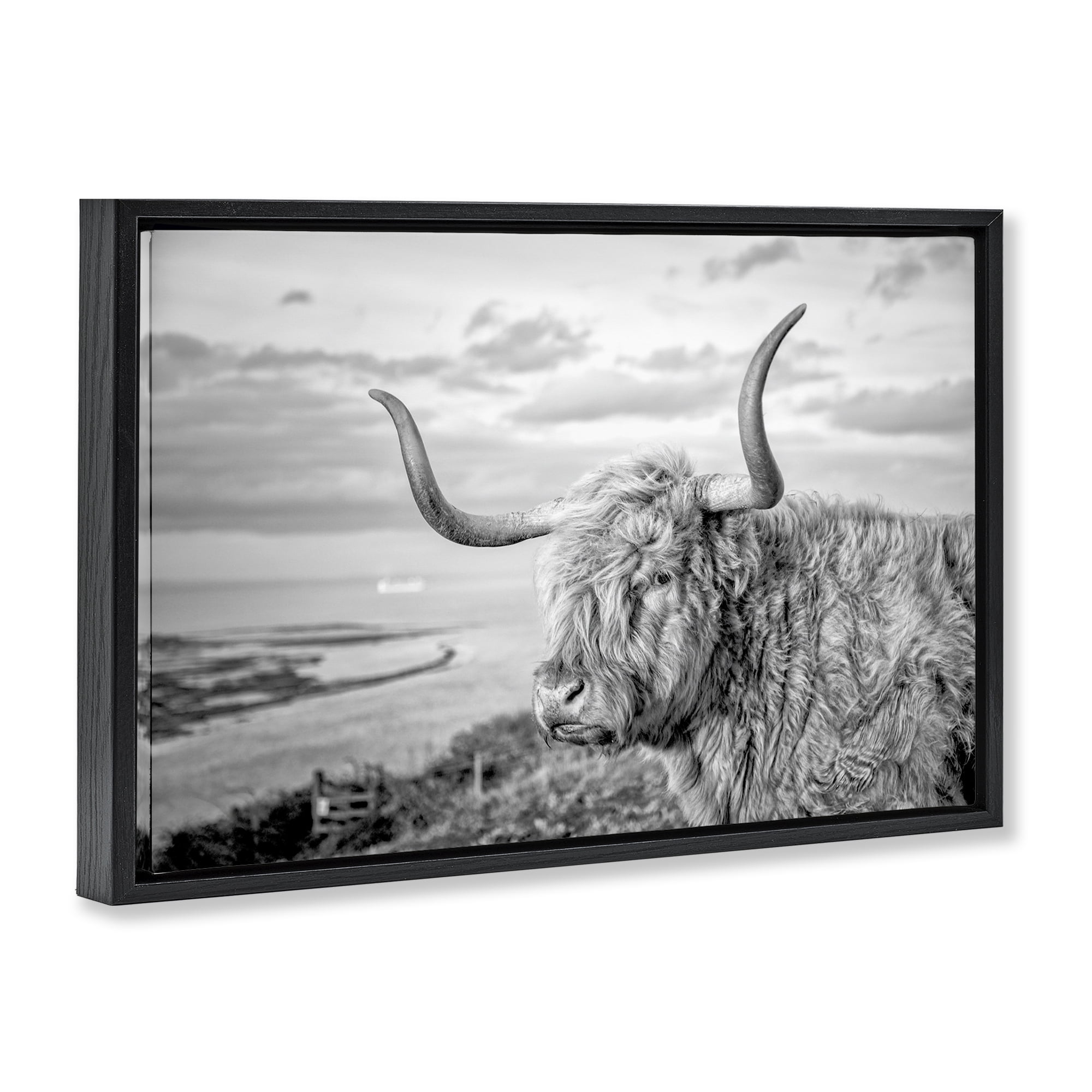 Stupell Industries Cattle with Ocean Breeze Animals & Insects Photography Black Floater Framed Canvas Art Print Wall Art, 31 x 21