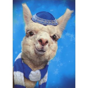 Hanukkah Llama Yarmulke Funny Greeting Cards Set of 10