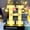 H, variant on Light up Letter LED 8.6inch Alphabet Number Symbol Plastic Battery Operated Party Sign Wedding Festival Stand Decoration Christmas Party, Bar, Night Light, Home Decor (Letter H)