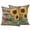 Brown Yellow Green, variant on Sunflower Yellow Outdoor Pillow Covers 16x16 Set of 2,Waterproof Patio Throw Pillowcase Protectors,Sunshine Butterfly Farmhouse Wood Brown Decorative Pillow Shams Cushion Covers for Seat Bed Couch