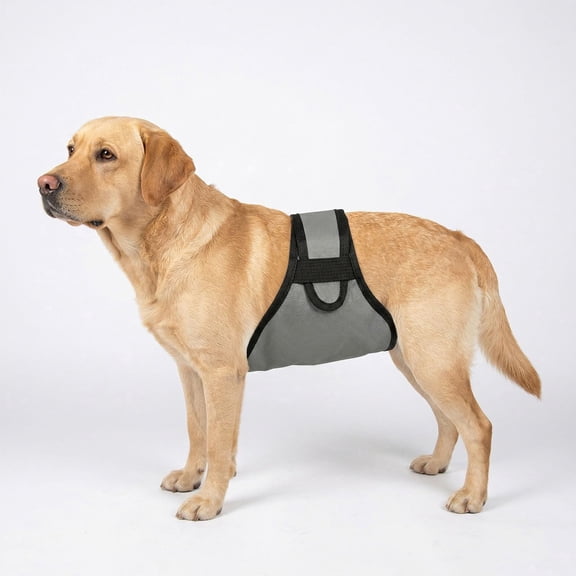 Colenumone Dog Diapers Male, Washable Male Dog Belly Band with Slim Comfort Hook and Loop Strap, Pee Wraps for Doggie in Incontinence or Excitable Urination and Training (Gray)