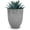 Dusted Pearl White, variant on Robert Allen MPT01827 Stockbridge Venti Ironstone Metal Planter Flower Pot, 15", Dimple Finish, Latte Color