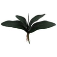 thumbnail image 1 of Rama de orquídea Phalaenopsis con hojas y tallos para decoración del hogar y la oficina (verde), 1 of 5