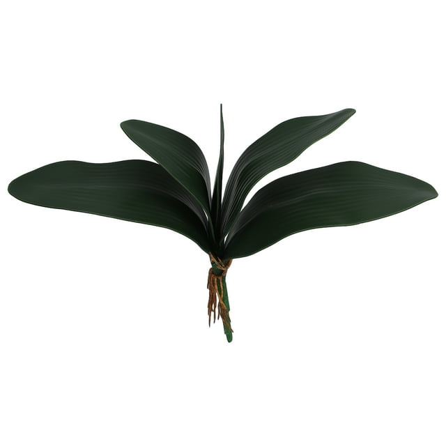Rama de orquídea Phalaenopsis con hojas y tallos para decoración del hogar y la oficina (verde)