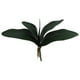 thumbnail image 1 of Rama de orquídea Phalaenopsis con hojas y tallos para decoración del hogar y la oficina (verde), 1 of 5