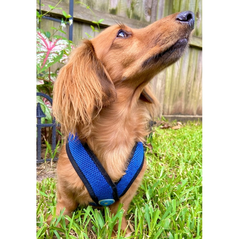 Top paw comfort harness medium top
