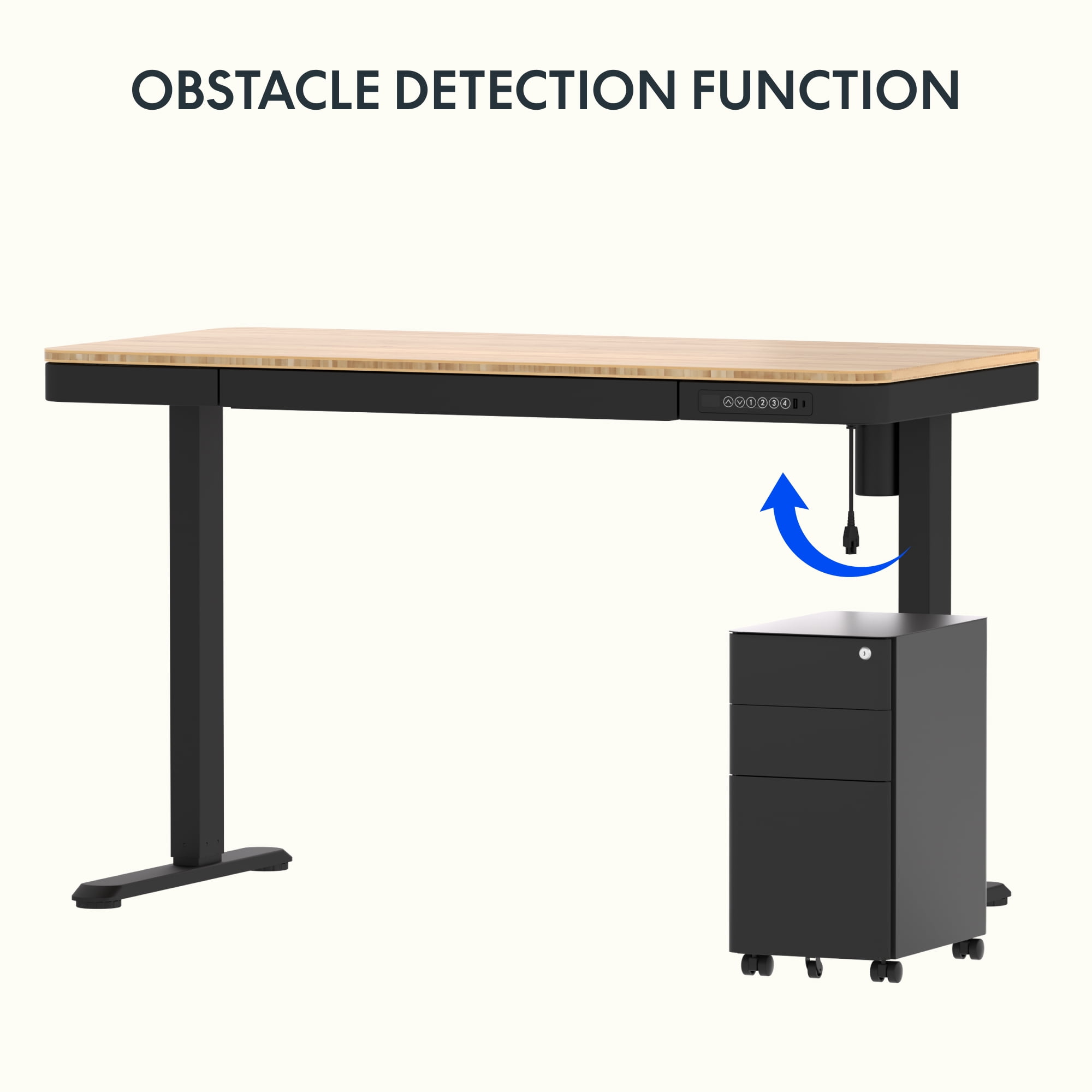 FLEXISPOT 48"x24" Black Home Office Height Adjustable Standing Desk Bamboo Texture Top with USB Charge Ports
