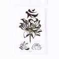 thumbnail image 1 of Paquete de 30 pegatinas de tatuajes temporales resistentes al agua de la serie D para brazos y cuello, 1 of 4