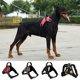 thumbnail image 5 of Arnés para perros JANDEL, fácil de poner y quitar, a prueba de explosiones, transpirable y fácil de ajustar, para perros pequeños, medianos y grandes. No más tirones ni asfixia., 5 of 7