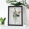 thumbnail image 5 of 2Pcs Specimen DIY Display Box Butterflies Specimen Case Plants Display Frame, 5 of 5