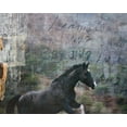 thumbnail image 2 of Friedman, Susan 32x26 White Modern Wood Framed Museum Art Print Titled - Horse Exposures I, 2 of 4