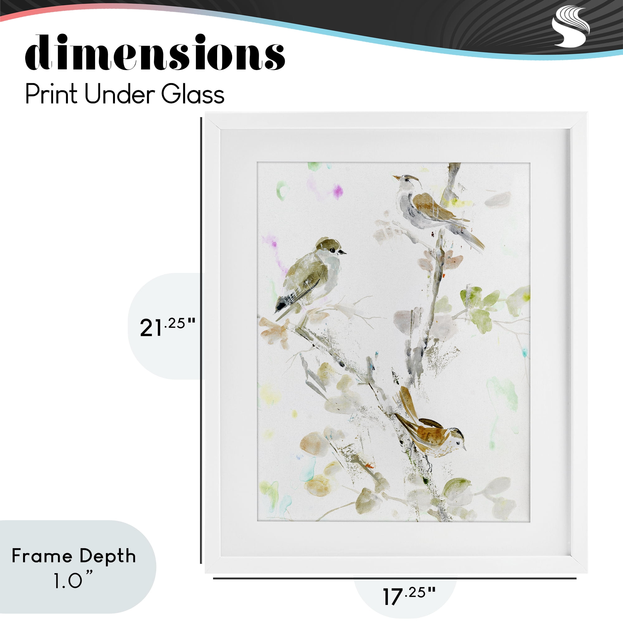 Stupell Industries Delicate Feathers Trio White Framed Print Under Glass, design by Lorenzo Collective
