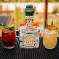thumbnail image 5 of 1921 Tequila Blanco 750ml | Caja 6pz 1921 1921 Tequila 1921 Tequila Blanco, 5 of 5
