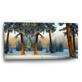 thumbnail image 2 of Epic Art 'Nature Collection 23' by Ata Alishahi, Acrylic Glass Wall Art, 48"x24", 2 of 8