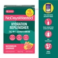 thumbnail image 2 of No Days Wasted Hydration Replenisher Electrolyte Replacement, Watermelon Lemonade, Powder Packet Drink Mix, 6 Count, 2 of 6