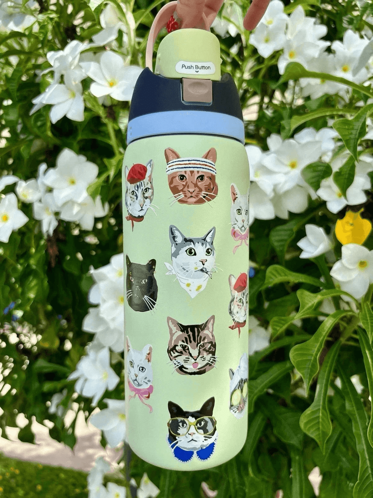 Owala FreeSip Stainless Steel Water Bottle, 32oz cat
