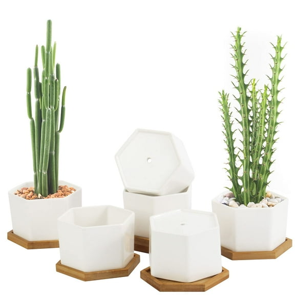 Succulent Pots, Succulent Planters, Set of 6 White Ceramic Succulent Cactus Plant Pots with Bamboo Tray(Plants NOT Included)
